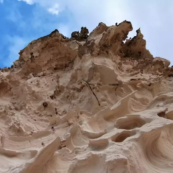 sereia tour porto santo 11 sereia tour porto santo 11