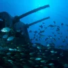 sereia tour potapanie porto santo- 0582