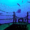 sereia tour potapanie porto santo 6